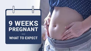 9 Weeks Pregnant  What to Expect [upl. by Atnoved88]