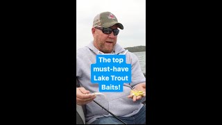 Top quotMustHavequot Lake Trout Fishing Baits Canada [upl. by Dachia994]