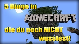 5 Dinge in Minecraft  die du noch NICHT wusstest 06 [upl. by Aicelav]