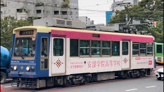 【レア行先】都電荒川線（東京さくらトラム）7700形7704号車（青塗装・阿部学院高等学校広告ラッピング）が大塚駅前行きとして飛鳥山付近を通過するシーン（20241031035） [upl. by Elleret]