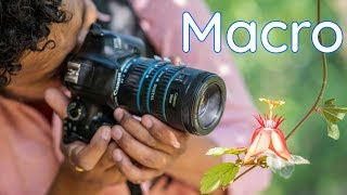 Macro Photography in Budget  Macro Extension Tubes  with Examples Canon 1300D [upl. by Ococ844]