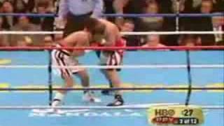 Miguel Cotto Highlights [upl. by Normie199]