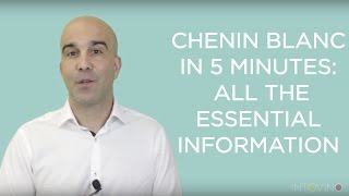 Chenin Blanc in 5 Minutes All The Essential Information [upl. by Barclay725]