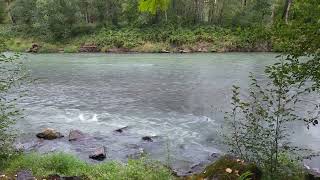 Camping by the Nisqually River [upl. by Eidok]