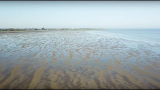 De toekomst van de Waddenzee zeespiegelstijging bodemdaling en sedimentatie in de Waddenzee [upl. by Dreeda966]