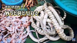 ตลาดสดพระตะบอง ขายเนื้องฺูตลาดปลาจากโตนเลสาบทะเลสาบเขมรBattambang local marketCambodia [upl. by Whitney]