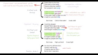 How to Analyse a Poem  Part 3 of 3  Life is Fine by Langston Hughes  Poetry [upl. by Zolner]