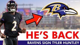 Breaking News Ravens Signing Tyler Huntley [upl. by Otrebtuc]