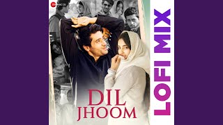 Dil Jhoom Lofi By Dj Raahul Pai [upl. by Claman811]