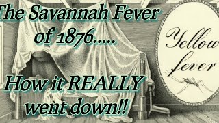 Yellow Fever in Savannah How it REALLY was [upl. by Hirza377]