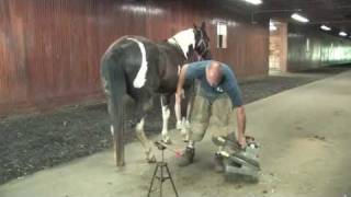 What Tools do Farriers Use [upl. by Tyler]