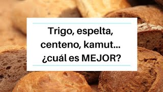 🥖Trigo espelta centeno kamut ¿cuál es MEJOR [upl. by Silvain875]