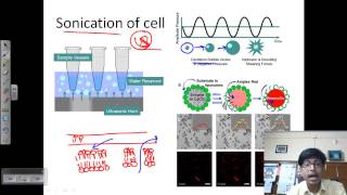 Sonication process [upl. by Aiak]