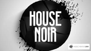 House Noir music [upl. by Toole661]