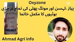 Use of Oxyzone in Onion Crop پیاز کی فصل میں جڑی بوٹیوں کو کنٹرول کرنے کے لیے اکسی زون کا استعمال [upl. by Philly209]