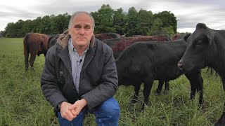 Managing a Small Cattle Herd [upl. by Eyla]