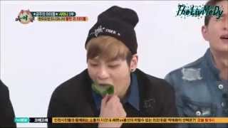 TheLivMeDySHINee Weekly idol part2 vostfr EP2 100413 [upl. by Fiorenza689]