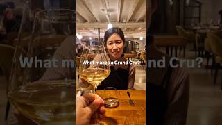 What makes a Grand Cru grandcru chablis chardonnay wine frenchwine winelover vineyards [upl. by Bullion]