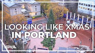 Christmas tree arrives at Pioneer Courthouse Square [upl. by Schiro]