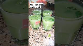 ✅Amla and curry leaves juice benefits for hairAmla amp curry leaves for hair growth shorts haircare [upl. by Nagear175]