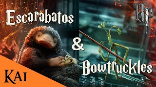 Los Bowtruckles amp Escarbatos de Harry Potter  Kai47 [upl. by Eessej]