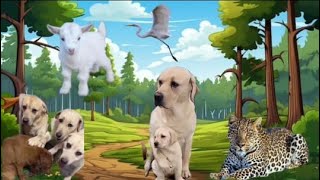 Labrador dog training commands  Maa ki mamta 😍 labradordog labradorlovers doglover [upl. by Kendell]