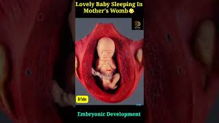 23 Week 3 Days Old Cute Child Doing healthy Growth In Mothers Womb month by month 👶 ❤ [upl. by Acissej]