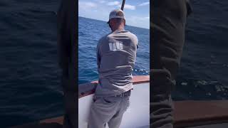 Gaffing a dorado fish fishingvideo fishing fisherman fishinglife [upl. by Nicolas]