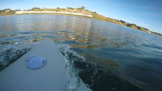 Great White Shark Encounter Surfing in Santa Cruz CA [upl. by Efioa472]