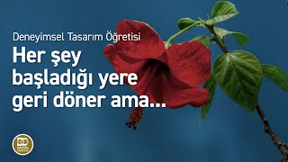 Deneyimsel Tasarım Öğretisi  Her şey başladığı yere geri döner mi [upl. by Audun]