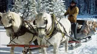 Beierse bergen  Duitsland HD1080p [upl. by Power]