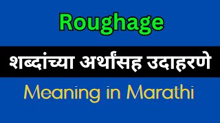 Roughage Meaning In Marathi  Roughage explained in Marathi [upl. by Desirae]