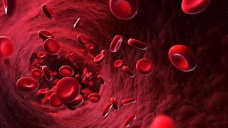 Erythrocyte sedimentation rate ESR physiologyerythrocyte sedimentation rate physiology [upl. by Pacien]