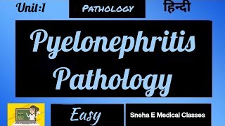 Pyelonephritis Pathology  Pathogenesis [upl. by Elhsa]