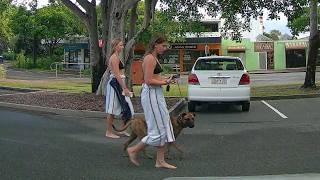 Woorim Bribie Island 🚗 4K UHD Real Time [upl. by Medrek817]