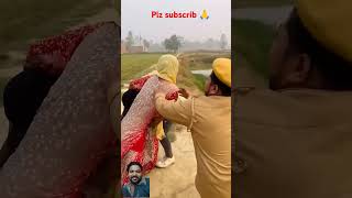 Sakeena funnyvideo😂😂 comedy funny funny duet fun funny viralvideos shortvideo subscribe 🙏 [upl. by Ahsirahc156]