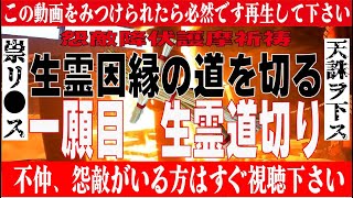 生霊呪詛対策【秘法護摩】ワラ人形に怨敵の魂を入れ生霊の霊道を切る【1願目 道切り】【不動明王】【摩利支天】修験道 ※概要欄の説明をご覧ください 開運行者秀 [upl. by Yecam1]