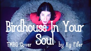 Birdhouse In Your Soul TMBG Cover by Ky Fifer [upl. by Garnes762]