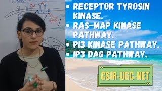 Receptor Tyrosin Kinase  RTK  RTK Signaling Pathways [upl. by Mitzie948]