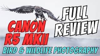 CANON R5 MKII  Wildlife Photography Full Review  Field Tested above the Arctic Circle [upl. by Newcomb]