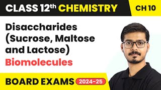 Disaccharides Sucrose Maltose and Lactose  Biomolecules  Class 12 Chemistry Chapter 10  CBSE [upl. by Attenweiler228]