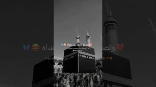 Arabic Nasheed Status  jamal al wajood the beauty of existence heart touching nasheed 🦋🤍 shorts [upl. by Jarv]