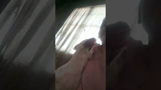 Nag Good morning kiss ang Baby ko dog doglover [upl. by Trebreh]