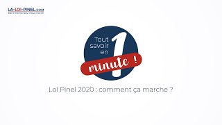 Loi Pinel comment ça marche  Tout savoir en 1 minute [upl. by Yenobe]