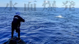 秋だ！青物だ！五島列島で連日沸きまくる巨大ヒラマサを狙ってロックショア釣行 [upl. by Auohc242]