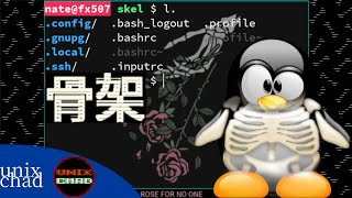 Linux文件系统中的用户骨架：etcskel [upl. by Santa]