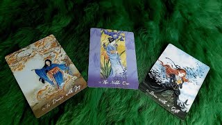 THẦN CUPID ĐANG quotCỐ TÌNH GHÉP ĐÔIquot BẠN VỚI AI EvelynTarot [upl. by Edrea]