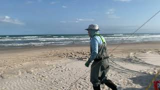 Pompano at Padre Island National Seashore  PINS  RAW VIDEO [upl. by Tak]