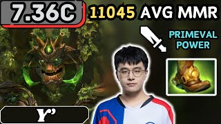 736c  Y TREANT PROTECTOR Hard Support Gameplay  Dota 2 Full Match Gameplay [upl. by Alekram905]