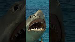 Johnny Cage Animality Jaws Movie Shark Attack Mortal Kombat 1 shorts [upl. by Aaberg]